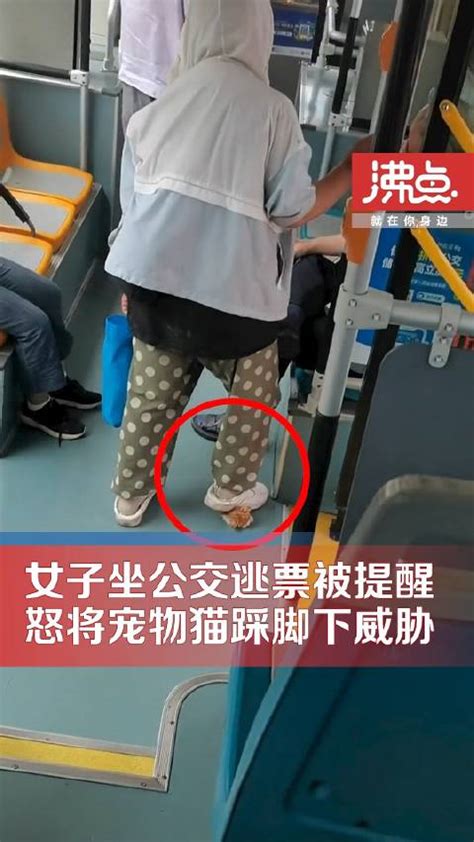 女子坐公交逃票不成将猫踩脚下威胁司机：让下车就把猫踩死|猫|临汾市|司机_新浪新闻