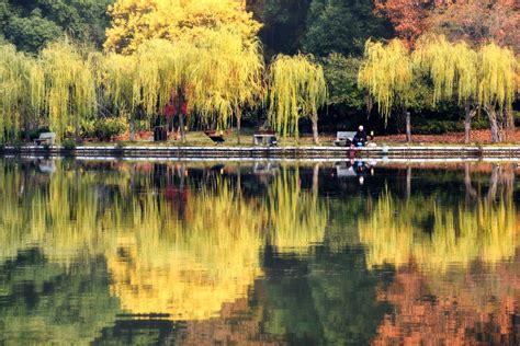武汉东湖风景区绿荫道高清图片下载-正版图片500913313-摄图网