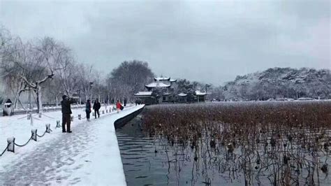 杭州西湖雪景_红动网