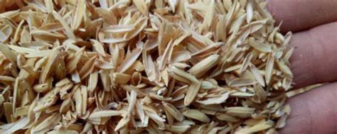 米糠的营养特点和饲喂价值_含量