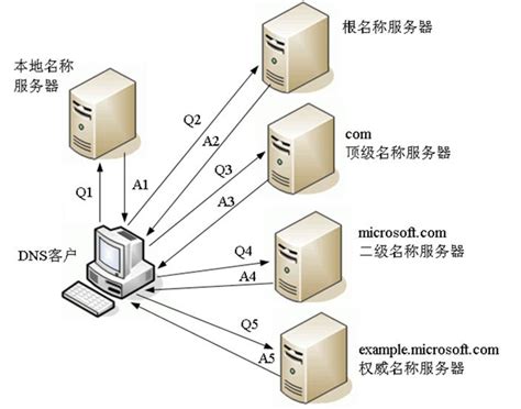 nslookup命令模拟DNS域名解析过程Quick Start-阿里云开发者社区
