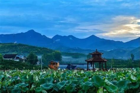 汉中市城固县10个村获得市级生态文明建设示范村命名表彰_生态陕西