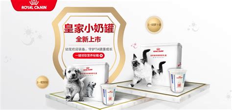 皇家宠物食品赋能宠物诊疗，深化宠物诊疗行业人才发展 – 中国宠物网