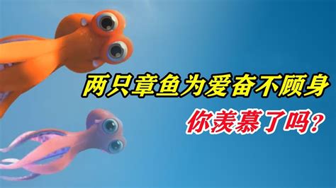 奥斯卡感人短片，两只章鱼为爱彼此奋不顾身，你羡慕了吗？#电影种草指南大赛#_高清1080P在线观看平台_腾讯视频