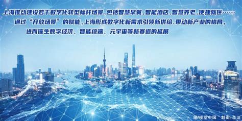 综述 | 全面数字化转型，上海收获新思考新动力_手机新浪网