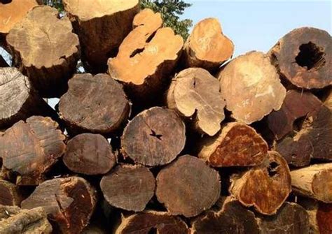 浅析：废旧的木料再利用，帝盾机械加工成多功能复合木方，代替实木产品！ - 知乎