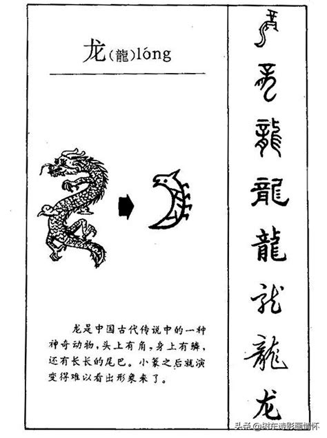 蛇进化为龙的七个阶段（一文详聊“龙”的前世今生）-商机卡