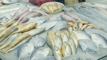探秘菜市场中的鱼类世界——《菜市场鱼图鉴》_科学技术_什么值得买