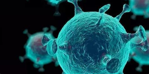 南非发现新型变异新冠病毒：存在大量突变，传染性更强_凤凰网视频_凤凰网