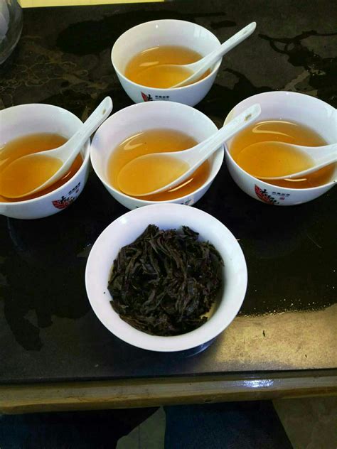 武夷岩茶十大茗枞之金贵-茶语网,当代茶文化推广者