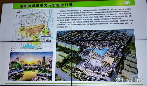 2021洛阳老城区学区划分最新消息- 洛阳本地宝