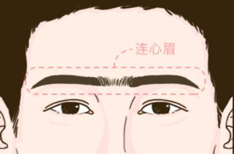 连心眉图片