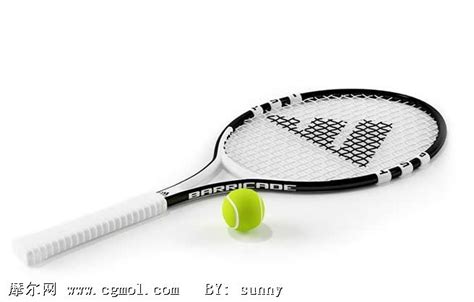 网球,网球拍3D模型,其他,机械模型,3d模型下载,3D模型网,maya模型 ...