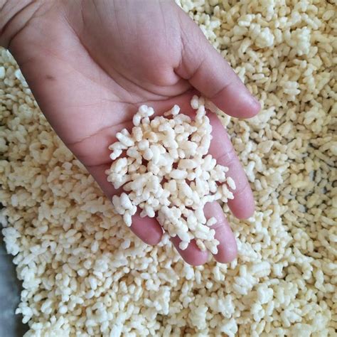 家里囤多了大米，该如何保存？教你一套方法，简单还实用 - 知乎