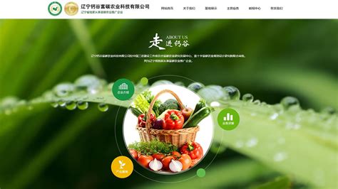 绿色农产品蔬菜推广海报/印刷海报-凡科快图