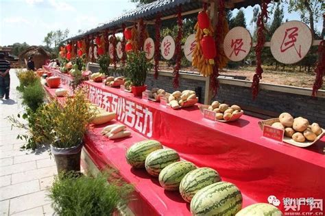 宁夏2020年中国农民丰收节系列活动将线上线下齐发力-宁夏新闻网