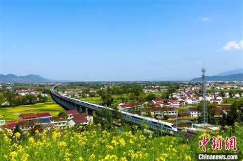 陕西汉中：高铁穿越油菜花海风景如画凤凰网陕西_凤凰网