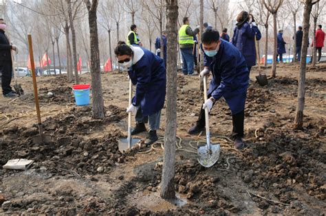 南关区政数局积极参与“绿化春城、醉美南关”义务植树活动