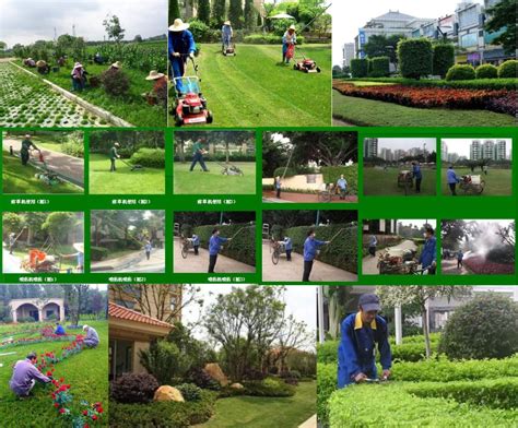 武汉绿化养护公司分享如何通过园林绿化养护使城市充满绿色 - 湖北天工园林景观艺术工程有限公司