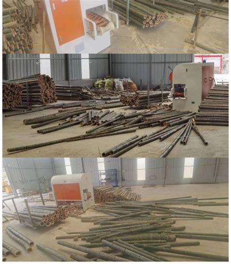 四川眉山：以竹代“钢”发展特色竹产业