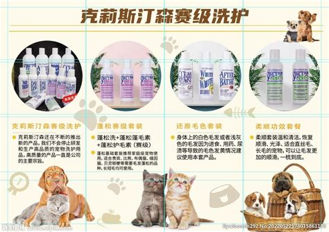 橙色可爱宠物洗护美容造型宣传海报宠物店价格表设计图片下载_psd格式素材_熊猫办公