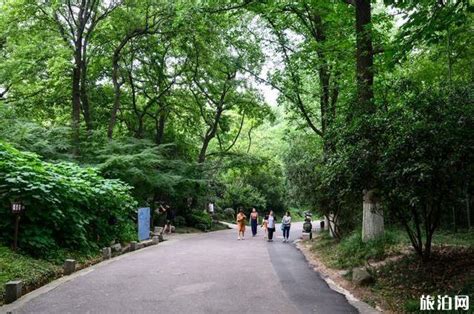 南京清凉山公园好玩吗-南京清凉山公园收费么_旅泊网