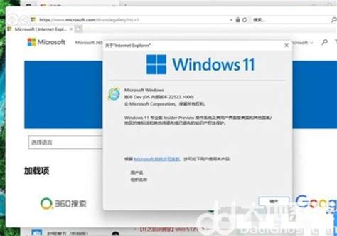 windows11恢复IE浏览器怎么操作 windows11恢复IE浏览器方法介绍-大地系统