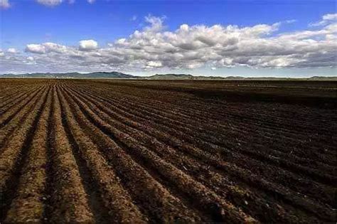 保护黑土地，今年全省3万亩农田“旱改水”｜种植玉米大豆有补贴，“一卡（折）通”发到位