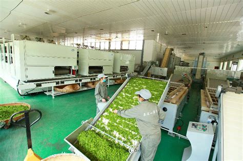 喜报！勐海茶厂上榜云南省绿色食品“10强企业”_提供芳村大益普洱茶最新价格走势！