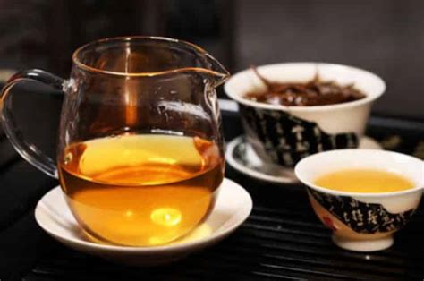 黄金芽茶叶多少钱一斤_黄金芽茶叶档次怎么样- 茶文化网