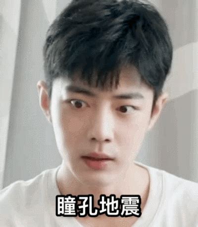 肖战表情包晚安图片