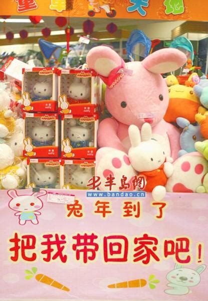 青岛宠物店改卖兔子 有的卖到400元一只(图)_新闻中心_新浪网