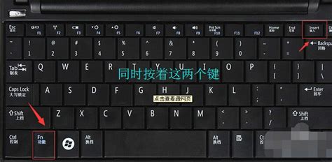 笔记本切换小键盘,小鱼教您笔记本小键盘怎么切换_常见问题_小鱼一键重装系统官网