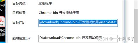 Windows10系统怎么快速安装谷歌-win10系统安装Google Chrome教程