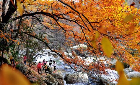 Yunwu Mountain in late autumn[2]- Chinadaily.com.cn