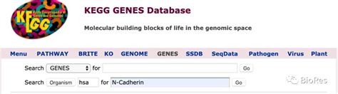 怎样使用NCBI搜索并下载基因序列_360新知