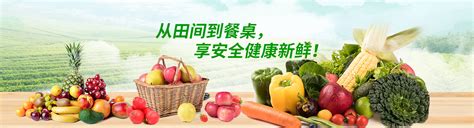 鲜蔬菜配送图片_鲜蔬菜配送设计素材_红动中国