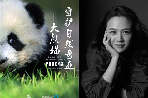 成都大熊猫繁育研究基地游玩攻略_旅泊网