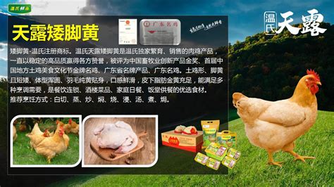 湖北荆州风干鸡散养老母鸡制腊货农家散养腌制腊味干货整只-阿里巴巴