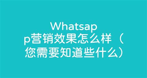 Whatsapp营销效果怎么样（您需要知道些什么） - 智齿科技