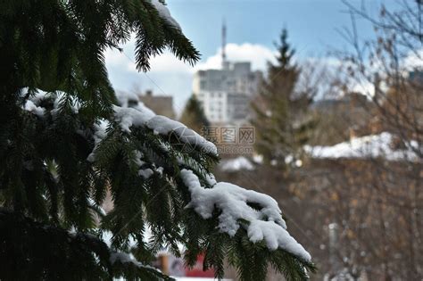 雪地里手拿白色小房子特写高清图片下载-正版图片507607281-摄图网