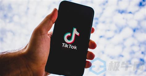 国际版TikTok怎么下载？（最新国内安装教程）
