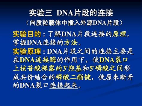 长片段PCR实验心得杭州新景生物试剂开发有限公司,核酸纯化专家,Simgen