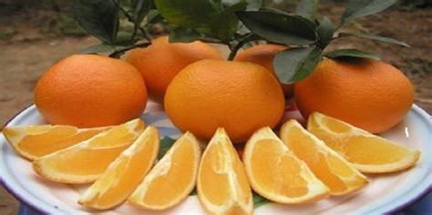 橙子的功效与作用有哪些_360新知