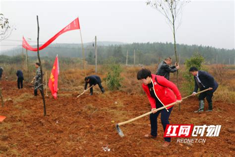 平遥县人民检察院召开2023年度党风廉政建设和反腐败工作会议_黄河新闻网