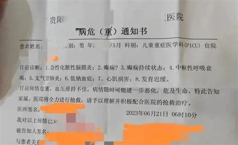 原神 纳西妲 草神 小吉祥草王 - 堆糖，美图壁纸兴趣社区