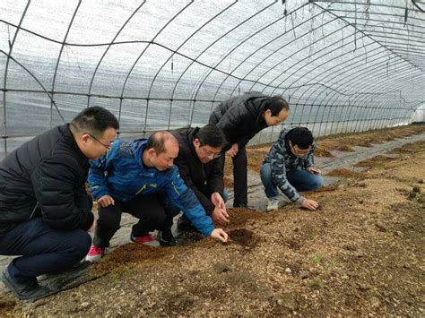 生态所专家赴上海星辉蔬菜有限公司开展生态农业交流与技术指导_新闻动态_新闻中心_生态环境保护研究所