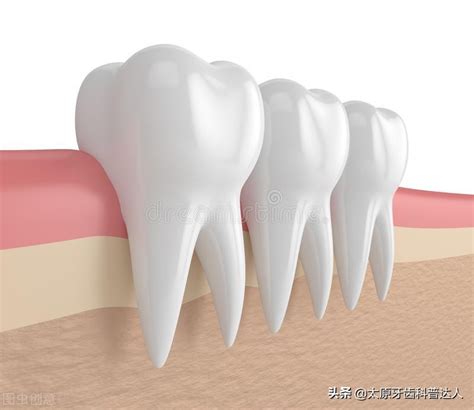 牙肉肿大怎么快速消肿（医生，我的牙床肿了怎么办？） | 说明书网