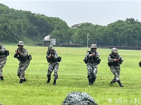他们，从这里走向战场！湖北省军区举行合成参谋暨民兵教练员比武竞赛 - 封面新闻