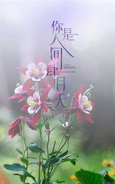 林徽因《你是人间的四月天》诗词欣赏_腾讯视频
